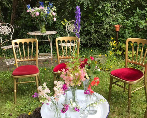 prachtig-in-de-tuin